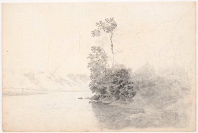 Paysage suisse avec arbres sur une presqu