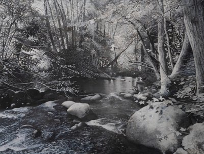 Paysages fluviaux, 2024 (huile sur toile) - Jerome Glomaud