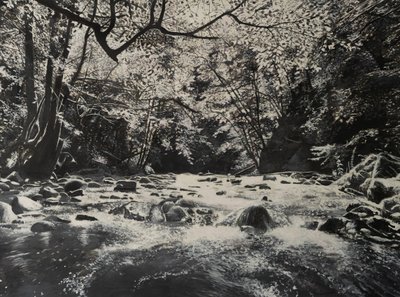 Paysages fluviaux, 2024 (huile sur toile) - Jerome Glomaud