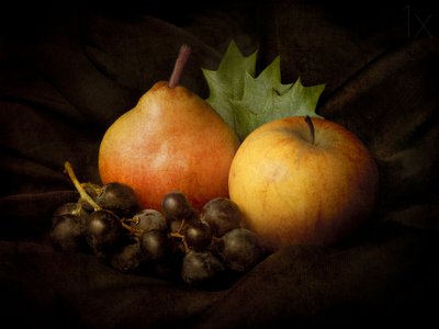 Nature morte « Récolte sombre » - Jerome Zakka Bajjani