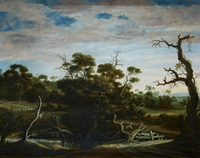 Paysage vallonné avec des arbres - Joachim Govertsz Camphuysen
