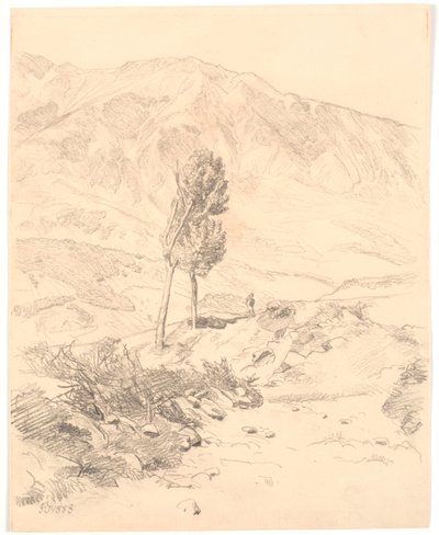 Paysage montagneux italien avec deux arbres - Joakim Frederik Skovgaard