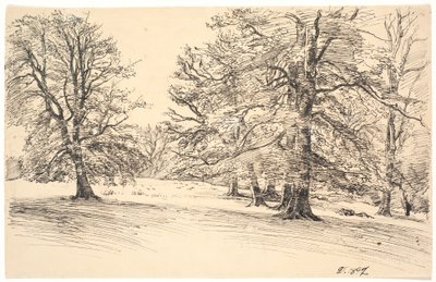 Terrain légèrement incliné avec de grands arbres dispersés - Joakim Frederik Skovgaard