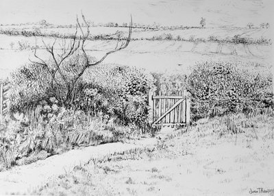 Portail de cottage et vue au-delà - Joan Thewsey
