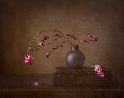 Nature morte aux fleurs de cerisier - Joanna W