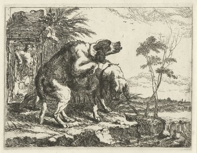 Deux chiens s