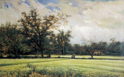Sarrasin en fleur - Joaquin Vayreda