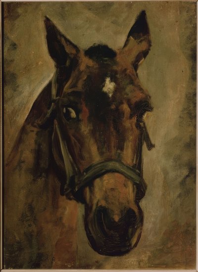Tête de cheval - Joaquín Sorolla