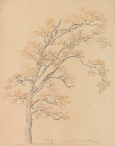 Chênes aux feuilles d