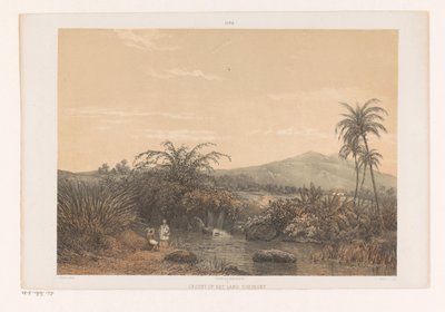 Vue sur Tjileboet - Johan Conrad Greive