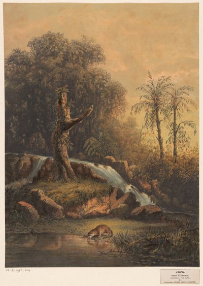 Paysage avec cascade et léopard buvant - Johan Conrad Greive