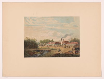 Usine de Pangka près de Tegal à Java central - Johan Conrad Greive