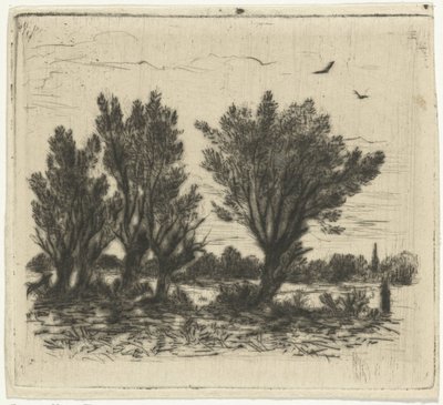 Rangée de saules - Johan Frederik Croockewit