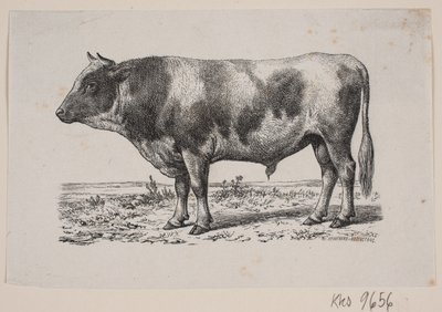 En tyr - Johan Frederik Rosenstand