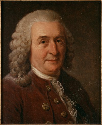 Portrait de Carl Linnaeus - Johan Gustaf Sandberg