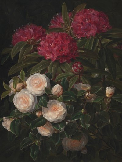Camélias et rhododendrons, par Johan Laurentz Jensen - Johan Laurentz Jensen