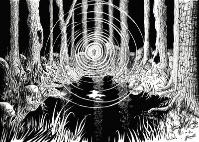 Les ondulations de la forêt mystique - Johan Liewendahl