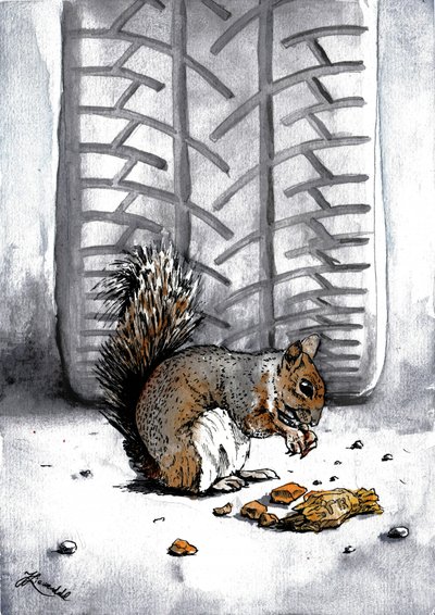 « Écureuil » par Tire Track - Johan Liewendahl