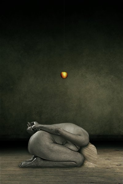 Cacher moi-même, 2013 - Johan Lilja