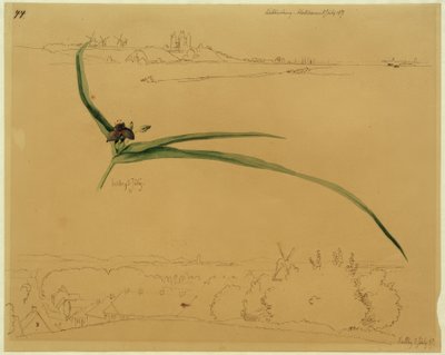 Vue de Kalundborg et étude d