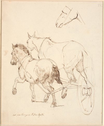 Un bélier nordique et un cheval ordinaire attelés à la même voiture. F.o. Tête de cheval - Johan Thomas Lundbye