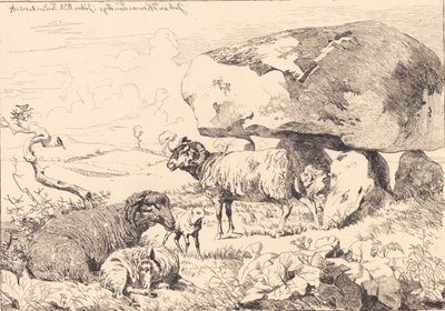 Moutons près d