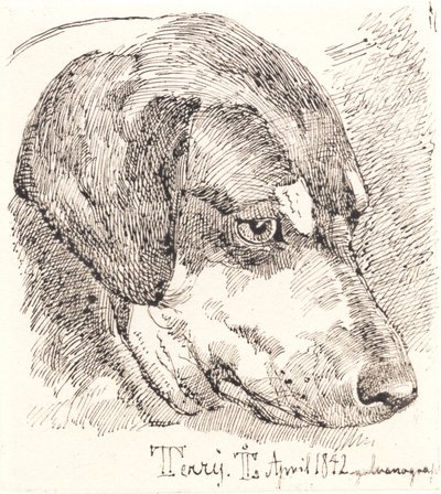 Tête de chien, Terry - Johan Thomas Lundbye