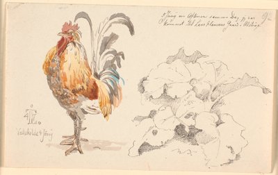 Feuille d