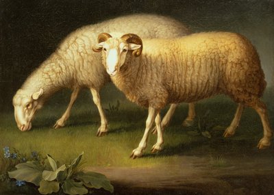 Un bélier et des moutons - Johan Wenzel Peter