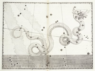 Constellation de Serpens Caput et Serpens Cauda, vers 1603 - Johann Bayer
