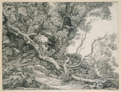  - Johann Christian Reinhart
