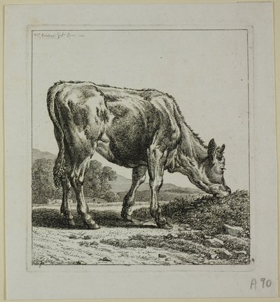 Veau se nourrissant, de Die Zweite Thierfolge - Johann Christian Reinhart