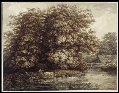 Le moulin près des grands chênes - Johann Christian Reinhart