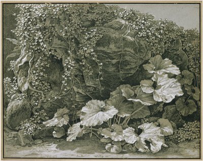  - Johann Christian Reinhart