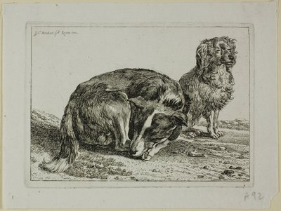 Deux chiens au repos, de Die Zweite Thierfolge - Johann Christian Reinhart