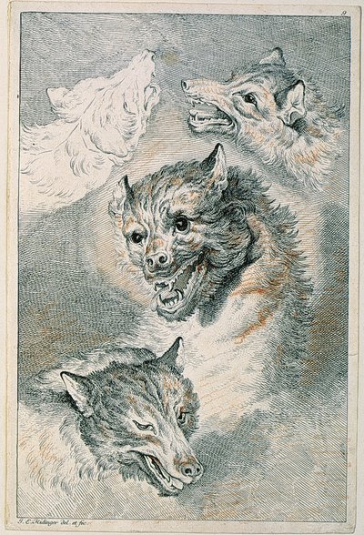  - Johann Elias Ridinger
