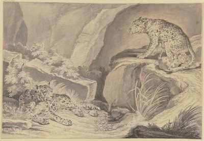  - Johann Elias Ridinger