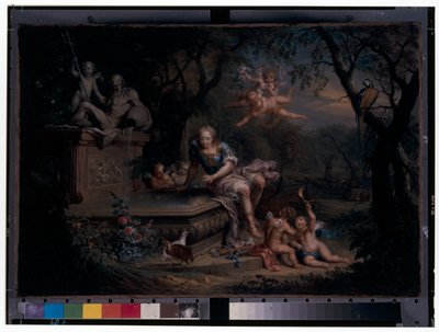 Narcisse reflété dans un puits - Johann Georg Platzer