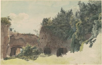Ruines romaines anciennes envahies par les arbres et les buissons - Johann Gottfried Klinsky