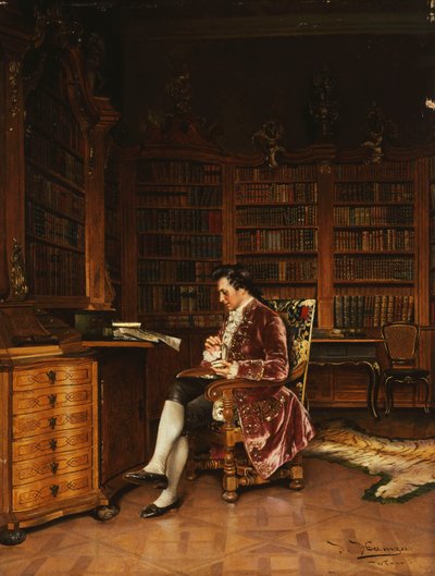 Dans la bibliothèque - Johann Hamza