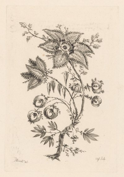 Fleurs en forme d