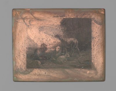 Quatre moutons - Johann Heinrich Maria Hubert Rennefeld (signed by artist)