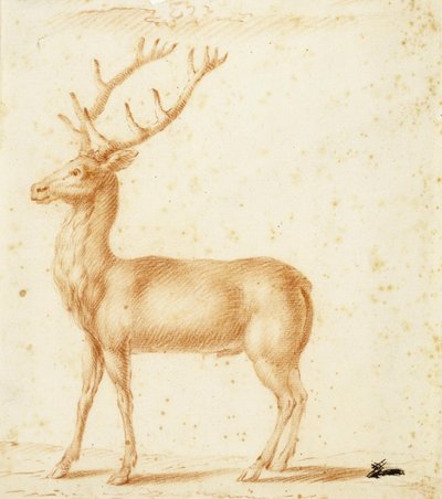 Un cerf - Johann Heinrich Roos