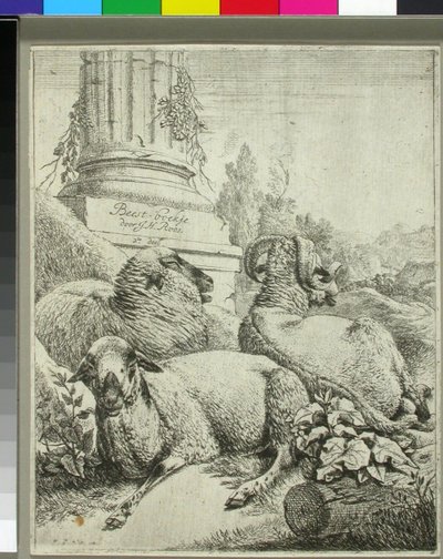 Moutons au pied d
