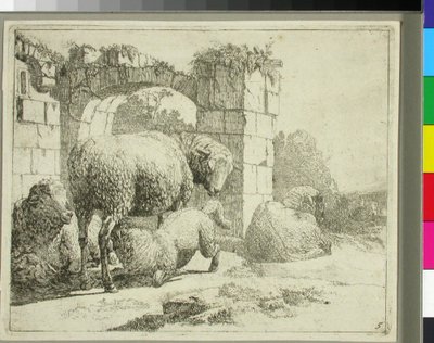 Moutons près d