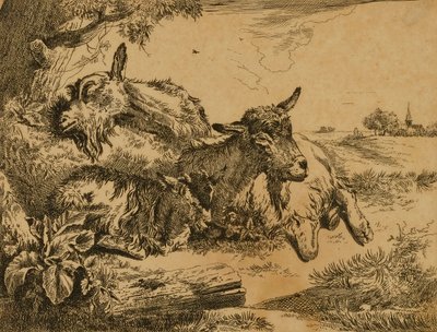 Deux chèvres et un chevreau - Johann Heinrich Roos