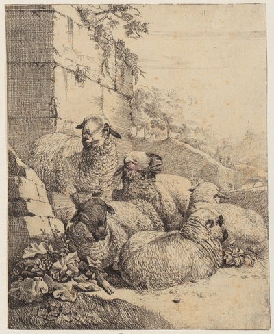 Quatre moutons couchés et un mouton debout devant un mur, feuille de la série « Moutons et chèvres » - Johann Heinrich Roos