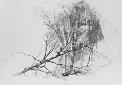 Scène de forêt - Johann Hermann Carmiencke