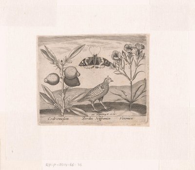 Série d