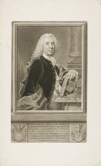 D. Christopher Jacob Trew, de Plantae Selectae - Johann Jacob Haid